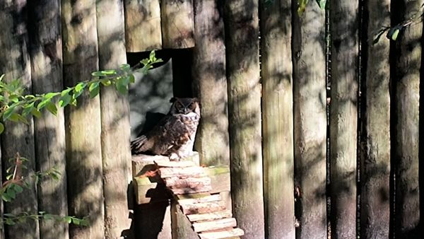 Ellie Schiller Homosassa Springs Wildlife State Park by null