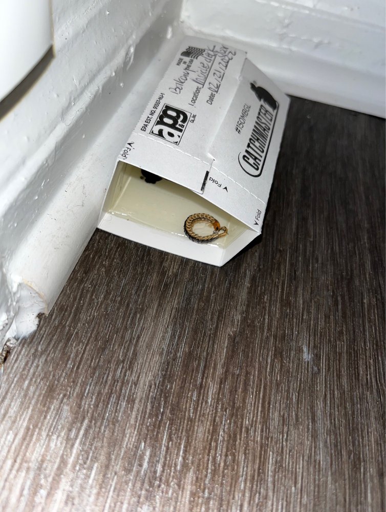 ARBORS OF BRENTWOOD APARTMENT HOMES 56 Photos 100 Brentwood Place, Nashville, Tennessee