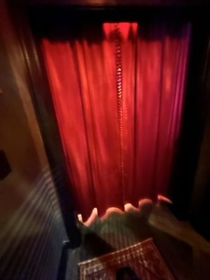 Velvet Whip Arts & Social Club by null