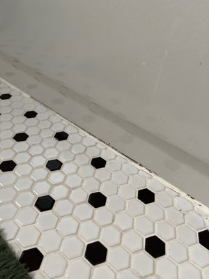 Wanner Works Remodel