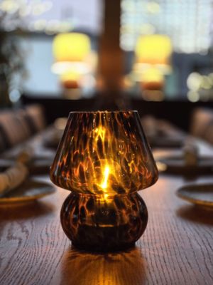 Mexican Sugar by null