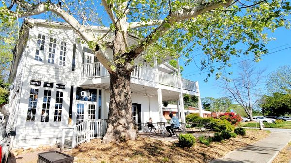 Gilly Brew Bar by null