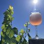 Photo of Elysium Botanicals Wines & Vineyard