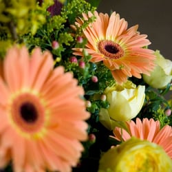Chattanooga Flower Market