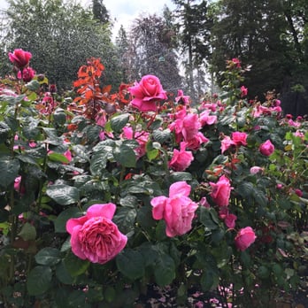 Stanley Park - Parks Near Me - Vancouver, British Columbia Stanley Park - Parks Near Me - Vancouver, British Columbia