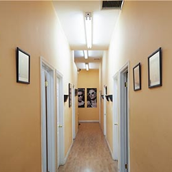Harlem Vision Center