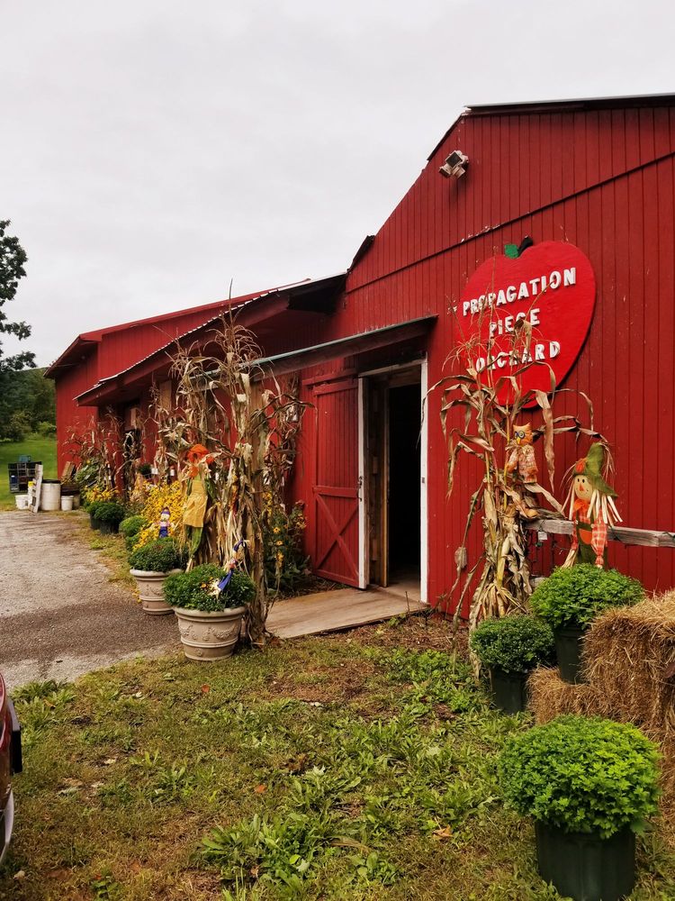 Social spots from Propagation Piece Orchard