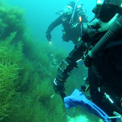 Sierra Scuba