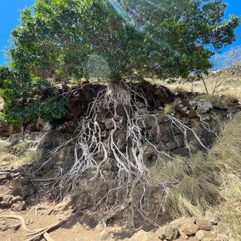 Maili Pillboxes - Hiking Near Me - Waianae, Hawaii