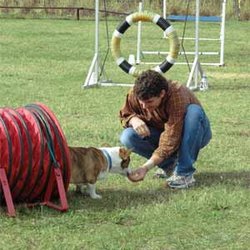 Bellecreek Dog Training Center