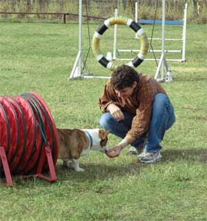 Bellecreek Dog Training Center - pet boarding facility in Rosharon, TX