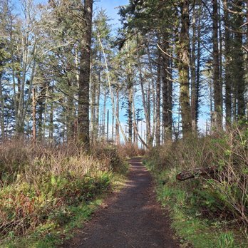 Cape Perpetua Scenic Area - Trail through trees - Hiking Near Me - Yachats, Oregon Cape Perpetua Scenic Area - Trail through trees - Hiking Near Me - Yachats, Oregon