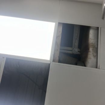 Wendy's - Rusty and leaking roof/ceiling - Burgers Near Me - Lake Orion, Michigan Wendy's - Rusty and leaking roof/ceiling - Burgers Near Me - Lake Orion, Michigan