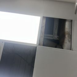 Wendy's - Rusty and leaking roof/ceiling