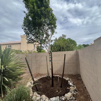 Moon Valley Nurseries - Nurseries & Gardening Near Me - Phoenix, Arizona