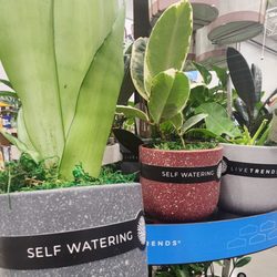 Lowe's Home Improvement - Thank you for thinking of ME Lowe's