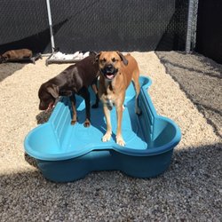 Cleveland Bed & Biscuit