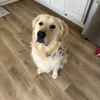 EarthWise Pet - Pet Groomers Near Me - Milton, Georgia