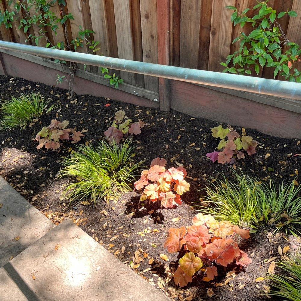 Geared for Growing - Landscaping Near Me - Healdsburg, California Geared for Growing - Landscaping Near Me - Healdsburg, California
