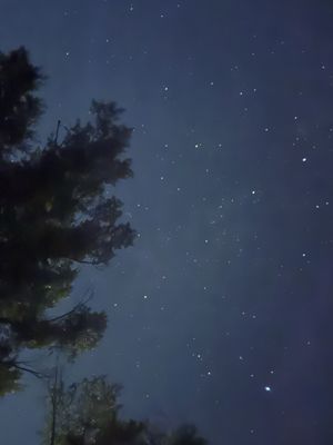 Gros Ventre Campground by null