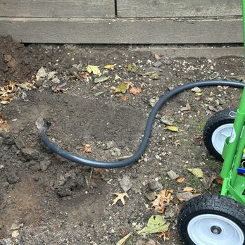AL's 1 Extermination - Rodent Burrows treatment with BurrowRx - Pest Control Near Me - Brooklyn, New York