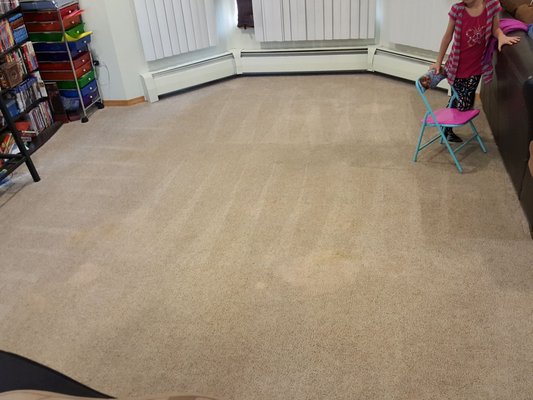 45 Clean Carpets 3863 Blessing Ave North Pole Ak Carpet Rug