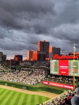 Wrigley Field by null