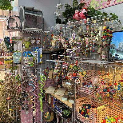 Pretty Paws Pet Grooming