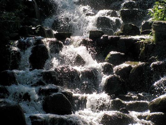 Viktoria Park by null