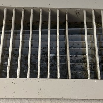 Hilton Arlington - Closer view of mold. This is what blows into the bed area - Hotels Near Me - Arlington, Texas