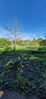 Schau- und Sichtungsgarten Hermannshof by null