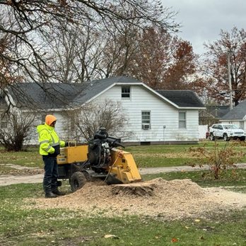 Iowa River Tree Service - Tree Services Near Me