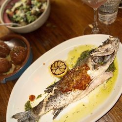 Rosewater - Branzino