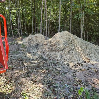 Timber Brute Tree and Stump - Tree Services Near Me - Glen Allen, Virginia Timber Brute Tree and Stump - Tree Services Near Me - Glen Allen, Virginia