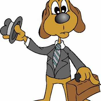 Pet Valet - Pet Valet -- Keeping pets happy since 2007 - Pet Sitting Near Me Pet Valet - Pet Valet -- Keeping pets happy since 2007 - Pet Sitting Near Me
