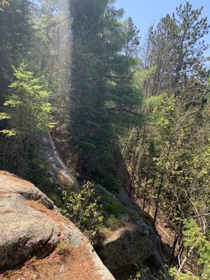 Algonquin Provincial Park by null