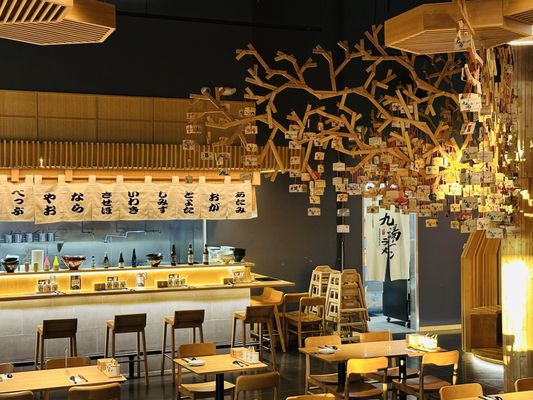 Kyuramen x TBaar - Tigard by null