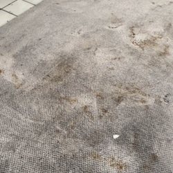 Spotless Carpet Care Cleaning - Before cleaning