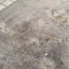 Spotless Carpet Care Cleaning gift card