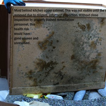 Mold Doctor - General Contractors Near Me - Las Vegas, Nevada Mold Doctor - General Contractors Near Me - Las Vegas, Nevada