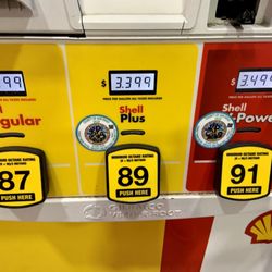Shells - Prices as of 8/31/20