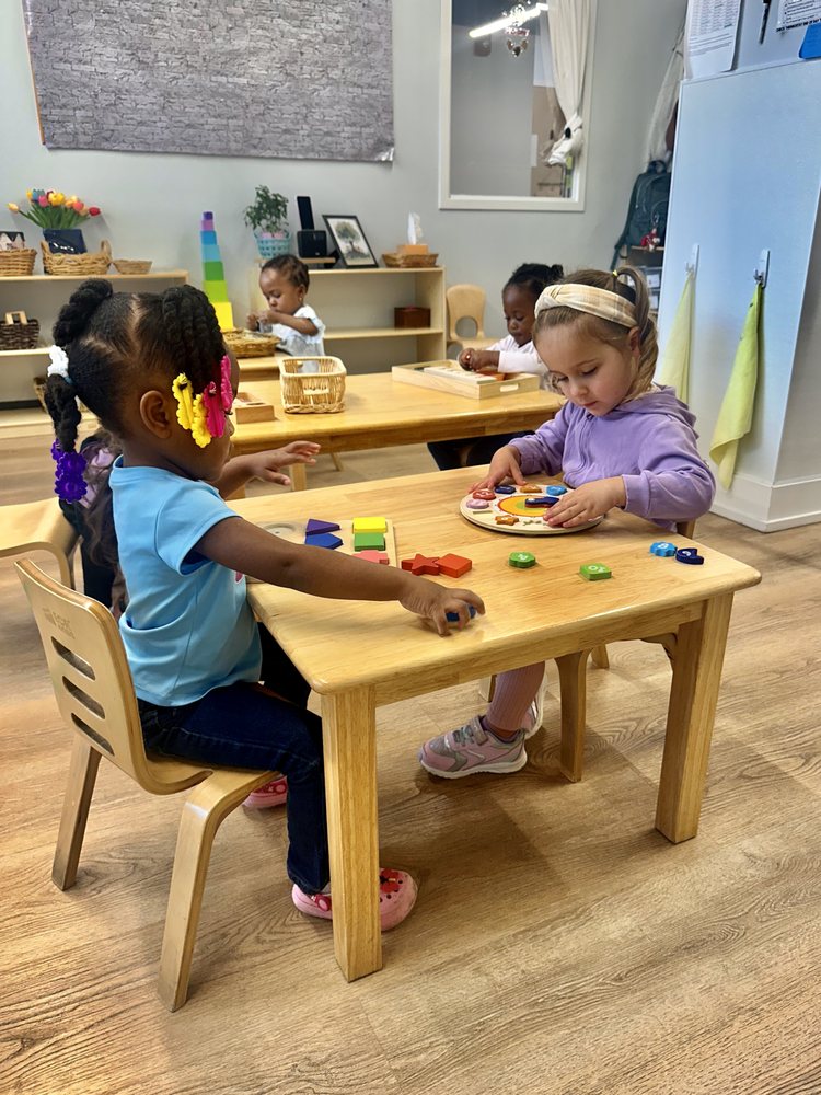 American Montessori Academy South Loop - childcare center in Chicago, IL