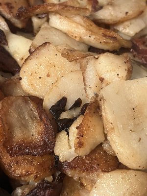 Harriet's Kitchen by null