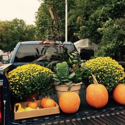 Grawtown Greenhouse