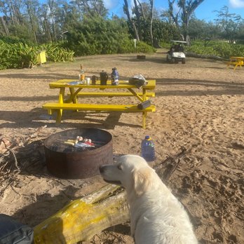 Malaekahana Beach Campground - Campgrounds Near Me - Kahuku, Hawaii Malaekahana Beach Campground - Campgrounds Near Me - Kahuku, Hawaii