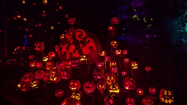 Roger Williams Park Zoo by null
