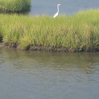 Catch 54 - Seafood Near Me - Selbyville, Delaware