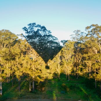Cloud 9 Balloon Flights - taking off !!! - Travel Services Near Me - Annangrove, NSW