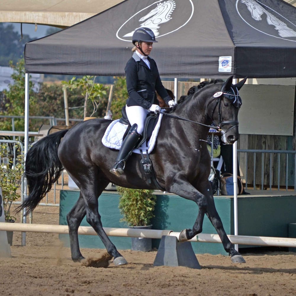 Wyvern Farm Logo