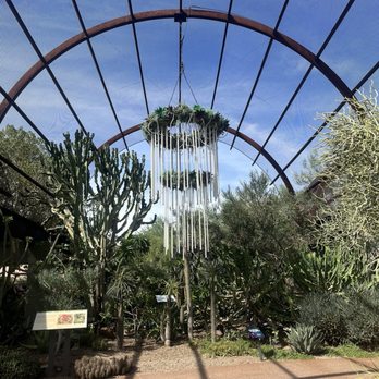 Desert Botanical Garden - Botanical Gardens Near Me - Phoenix, Arizona
